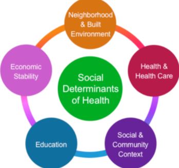 All of Us Explores Social Determinants of Health – #LGBTWellness Roundup Image